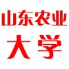 山东农业大学