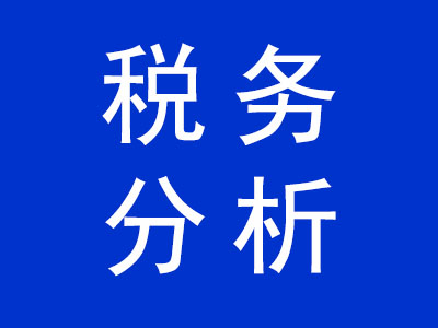 税务分析